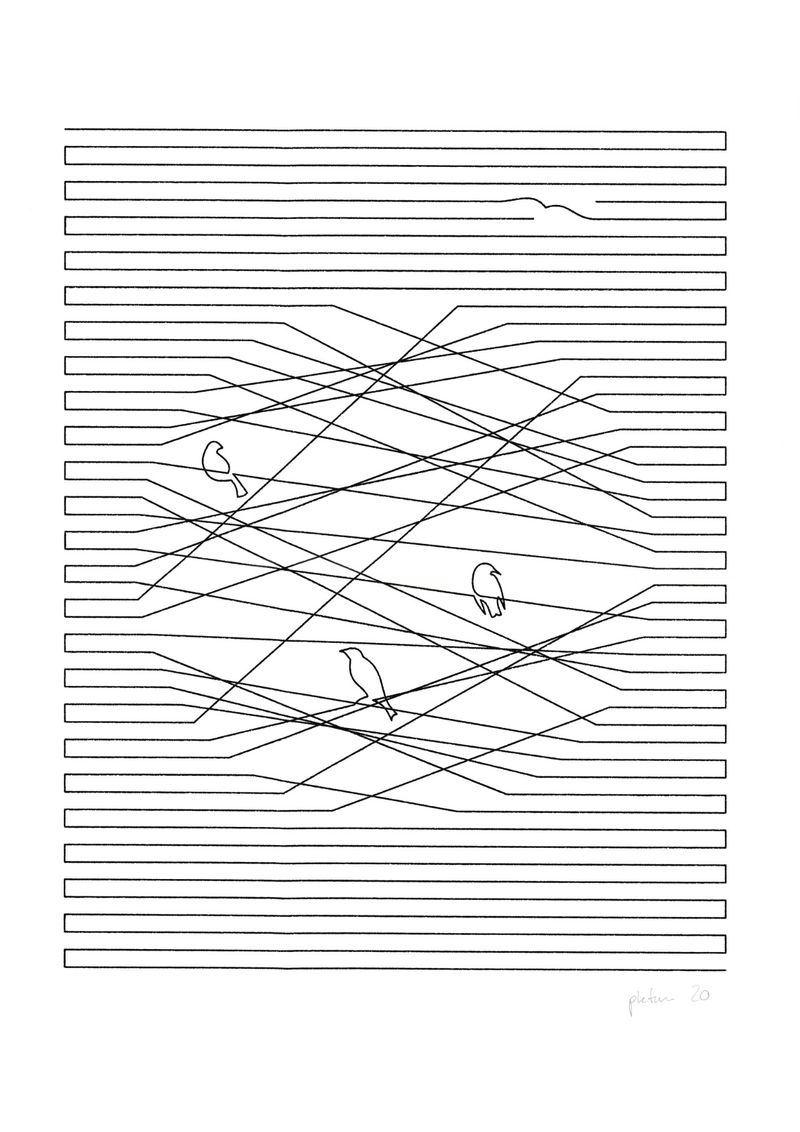 Birdlines