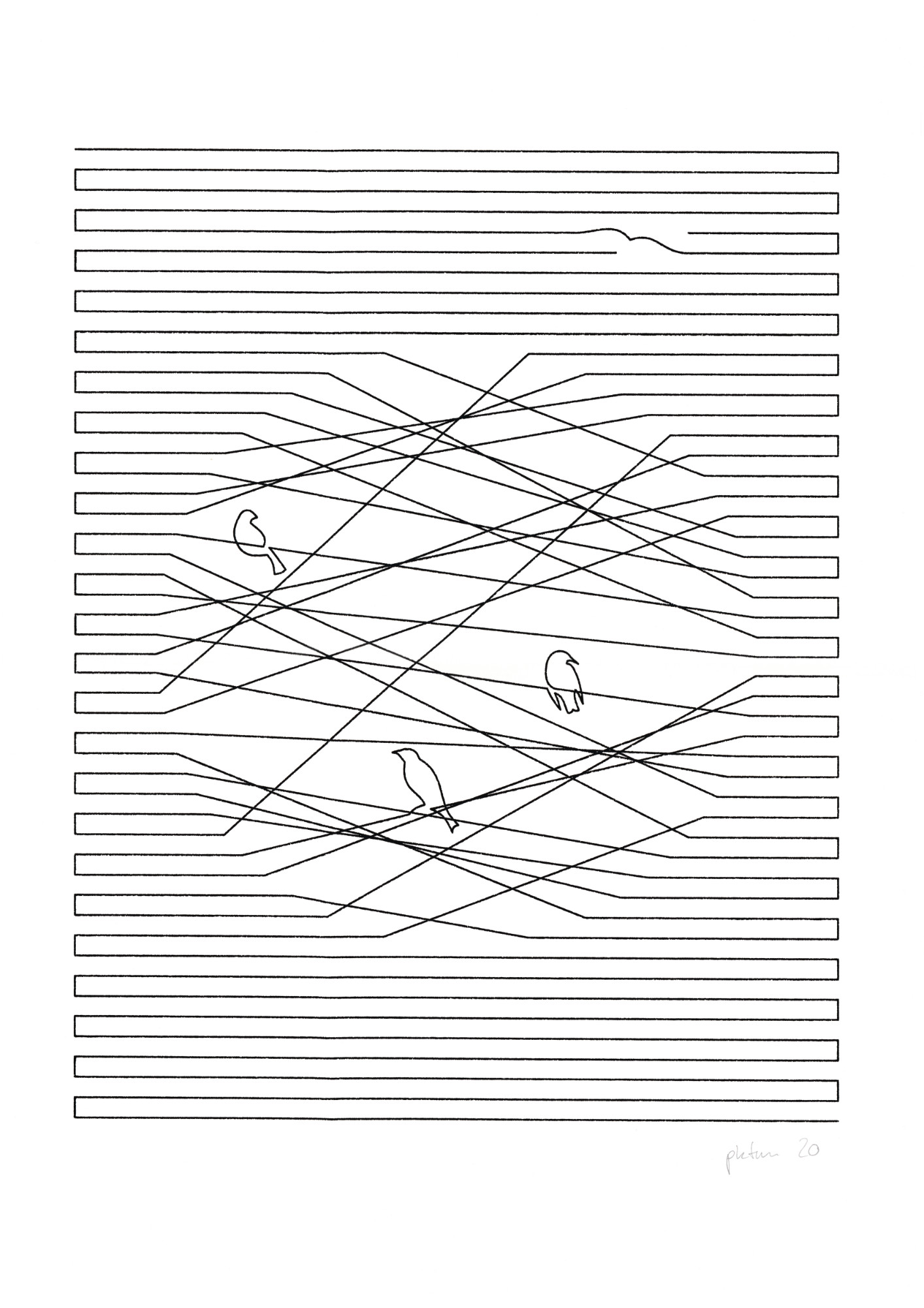 Birdlines
